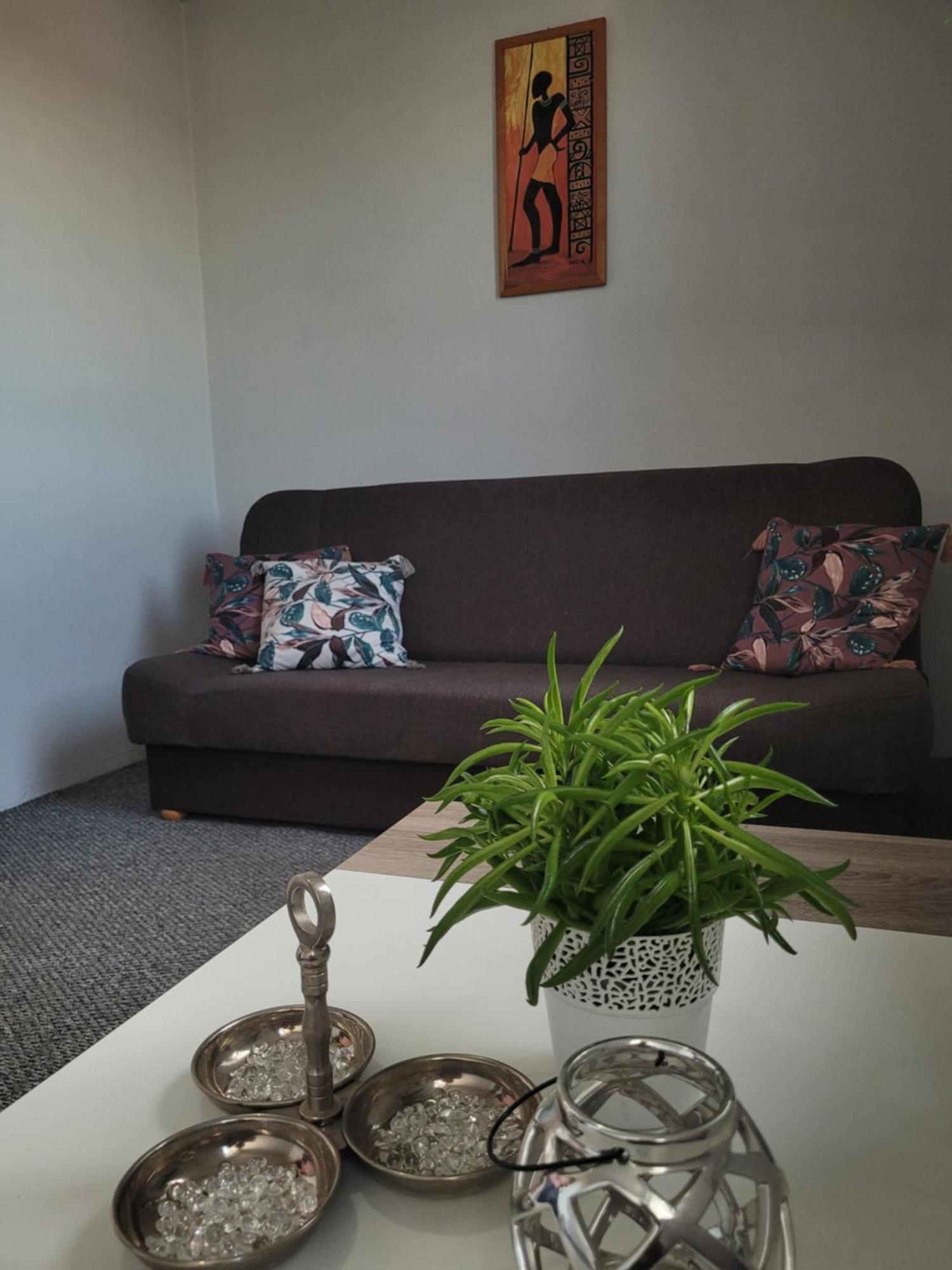 Włocławek Apartament Zdunska מראה חיצוני תמונה