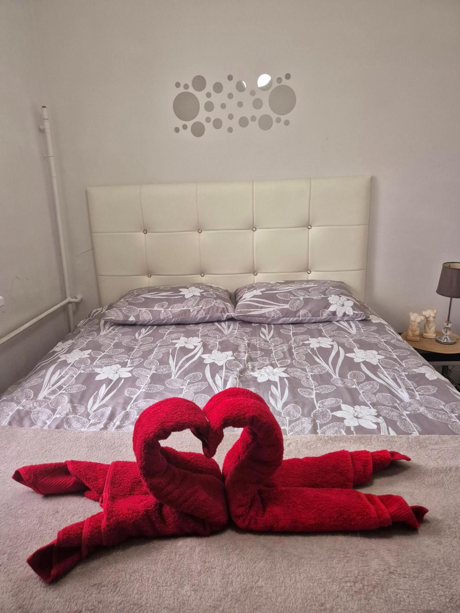 Włocławek Apartament Zdunska מראה חיצוני תמונה